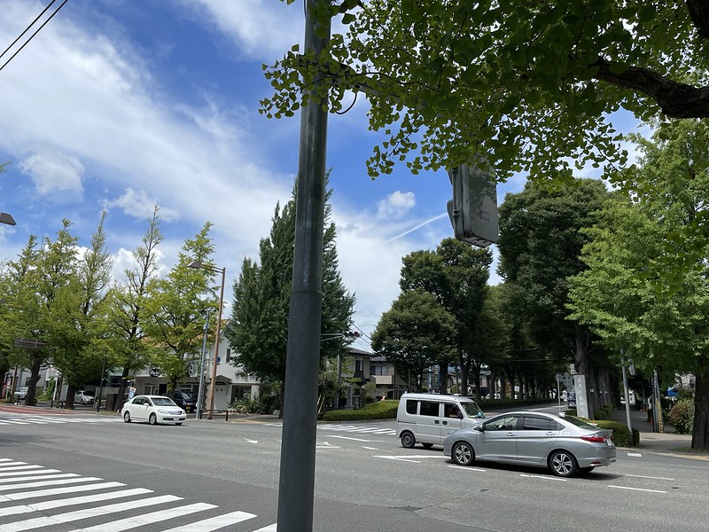 天皇陵へといたる道